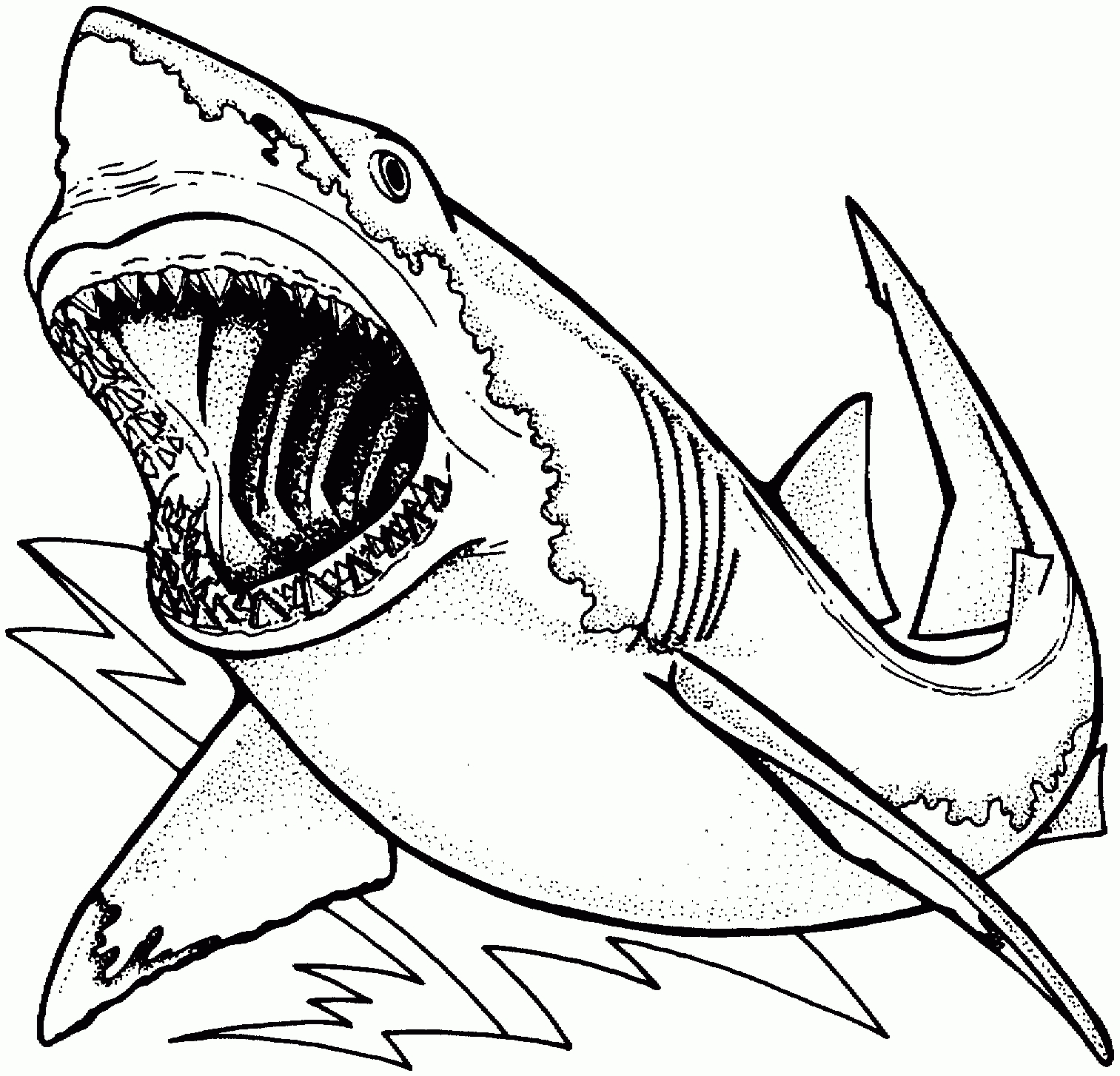 Great White Shark Coloring Pages To Print Great White Shark ...