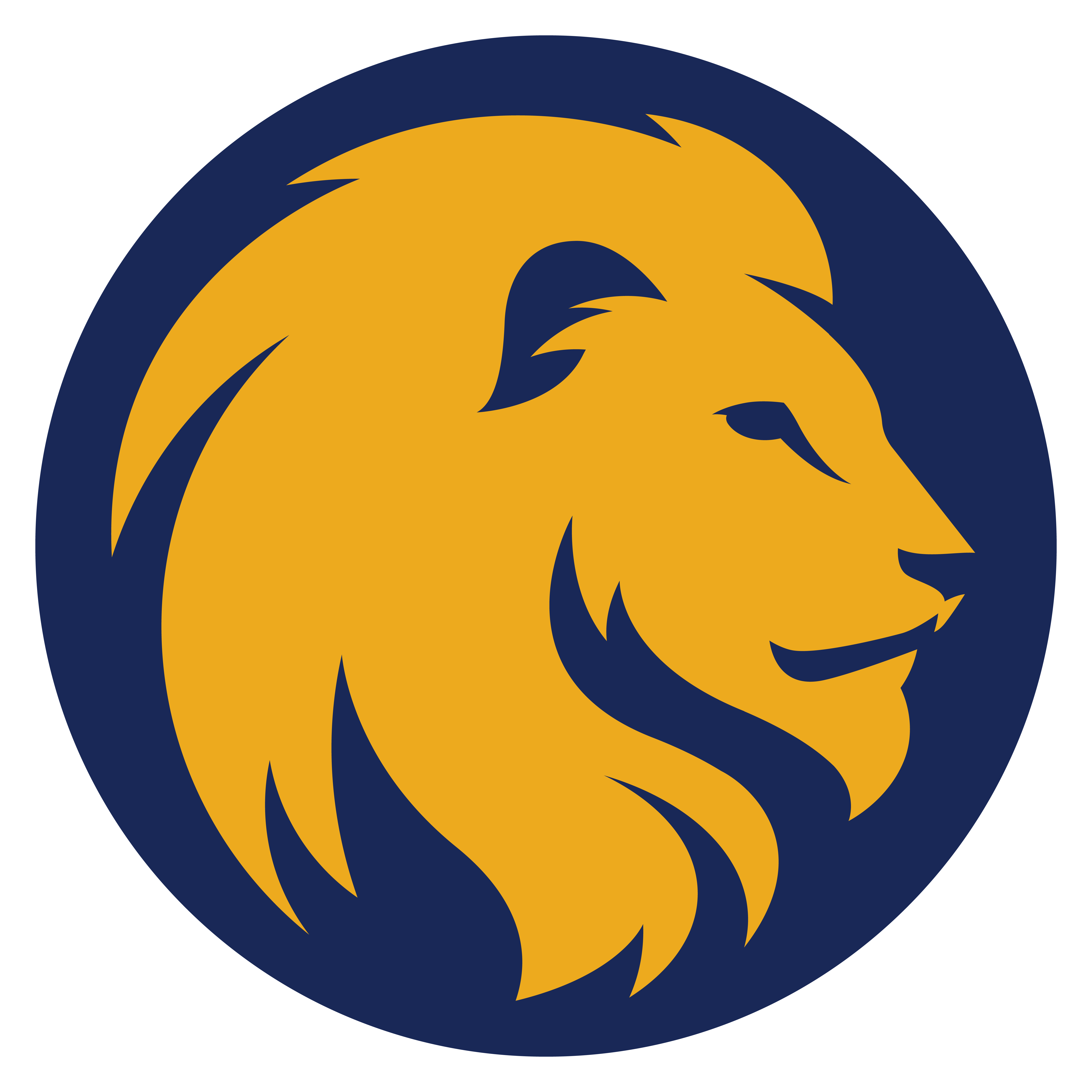 Logo Downloads - Texas A&M University-Commerce