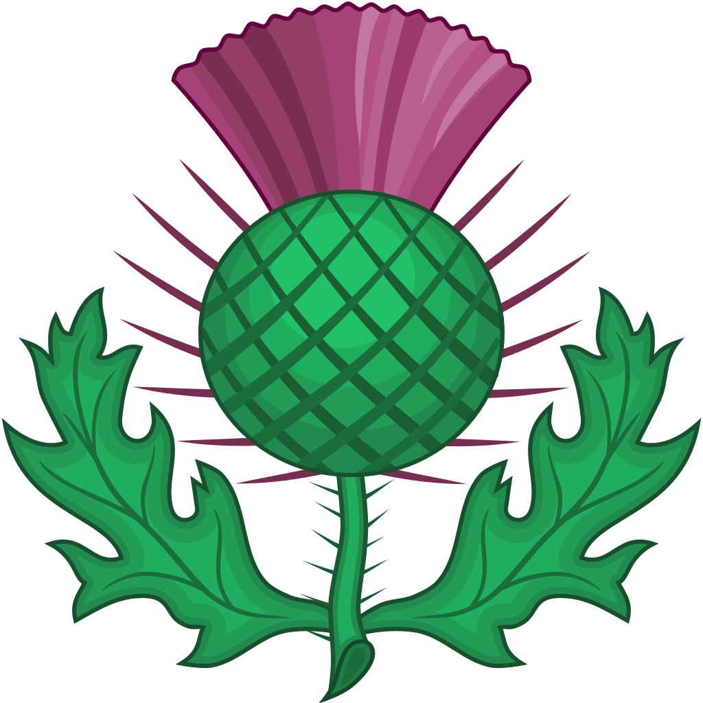 Thistle | Free Download Clip Art | Free Clip Art