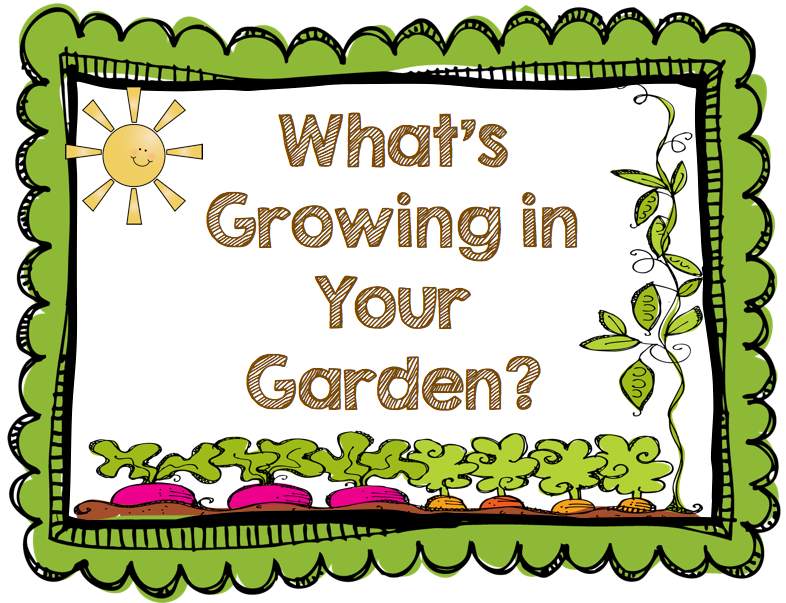 Vegetable Garden Clip Art | Garden Home