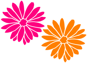 Pink and orange flower clipart