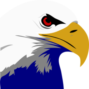 Bald Eagle Outline Clipart - Free to use Clip Art Resource