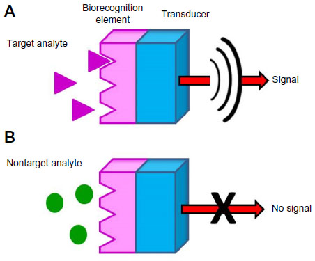 Full text] Nanoscale virus biosensors: state of the art | NDD