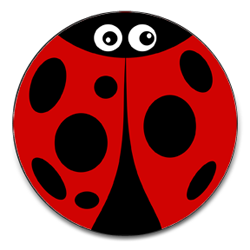 Cartoon Ladybird Magnetic Tax Disc Holder