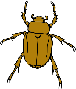 Beetle Bug clip art Free Vector