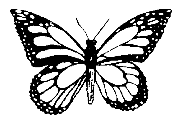 butterfly clip art free black and white - photo #24