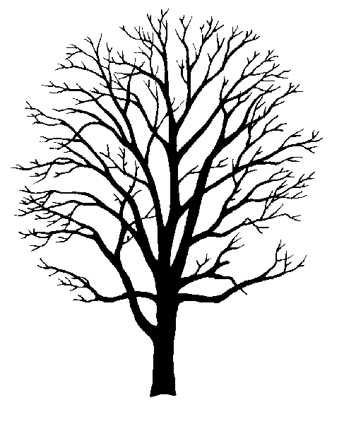 Outline Of A Tree With Branches - ClipArt Best
