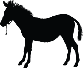 Horse Silhouettes | Silhouettes of Horse Free