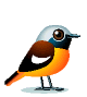 Free Animated Bird Gifs - Bird Animations - Clipart