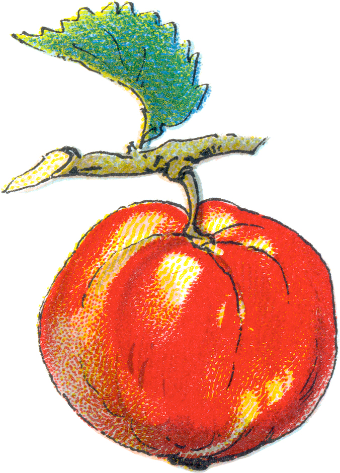 Free Apple Clip Art For Teacher - Miss Mary's Victorian and ...