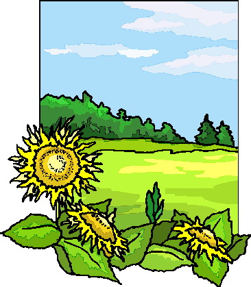 Clip Art - Clip art sunflower 959152