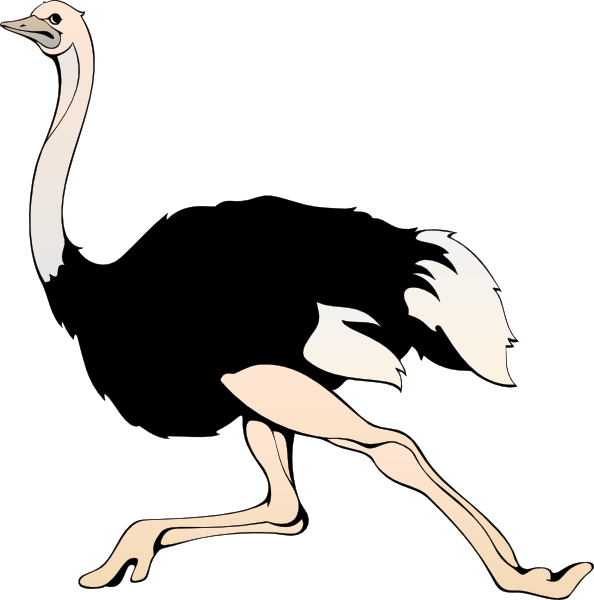 Running Ostrich Clip Art - vector clip art online ...