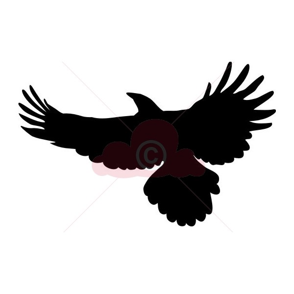 clipart eagles soaring - photo #23