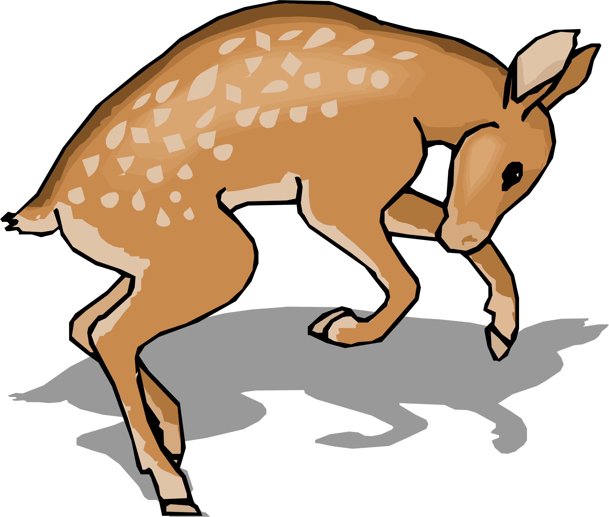 Cartoon Deer