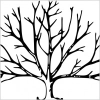 Tree outlines branches vector Free vector for free download (about ...