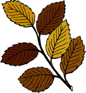 Autumn Leaves On Branch clip art Free Vector