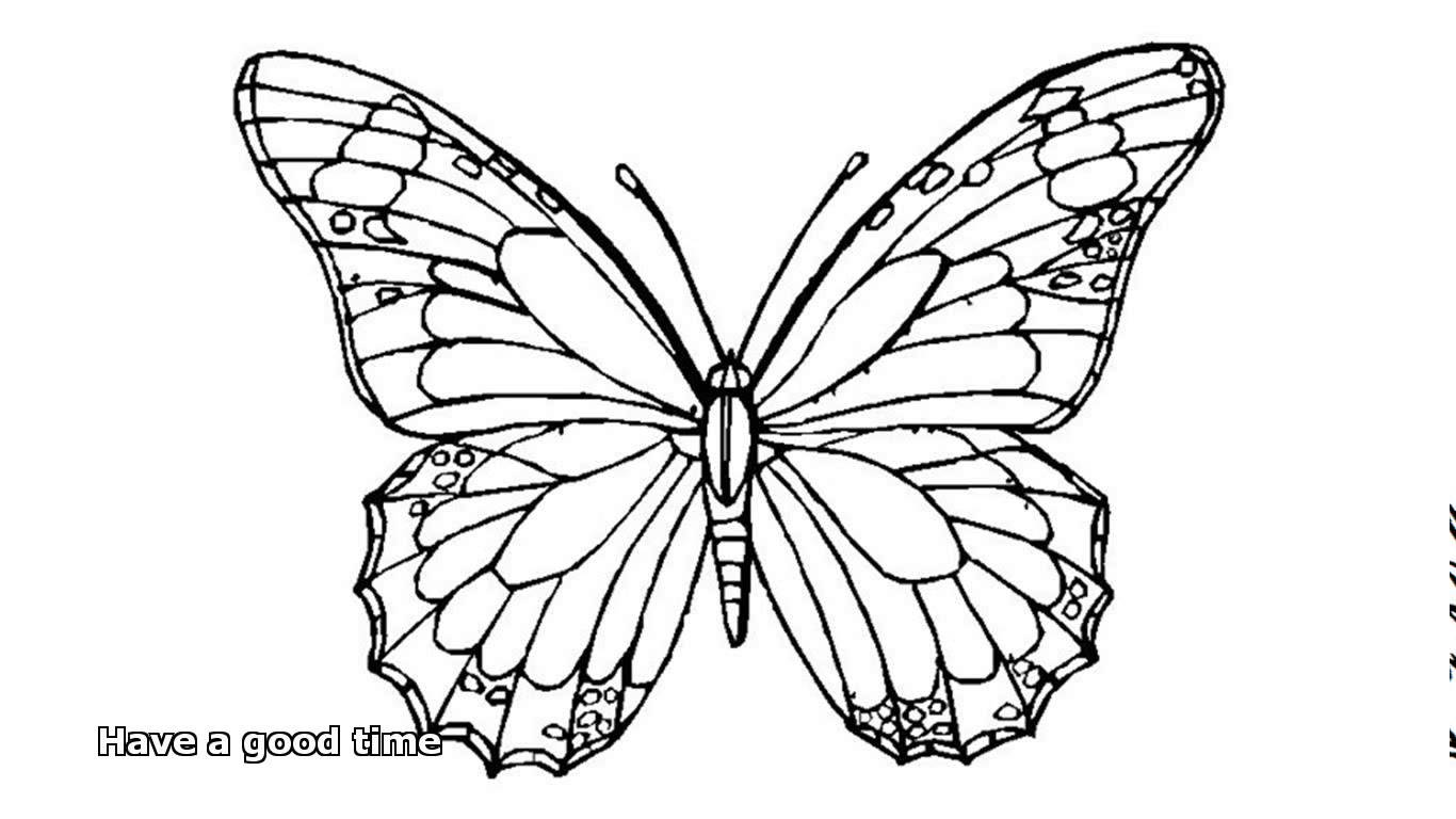 butterfly coloring pages   YouTube   ClipArt Best   ClipArt Best