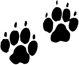 Dog Paw Graphic