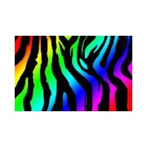 Rainbow Zebra Background - ClipArt Best