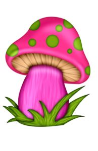 1000+ images about mushrooms
