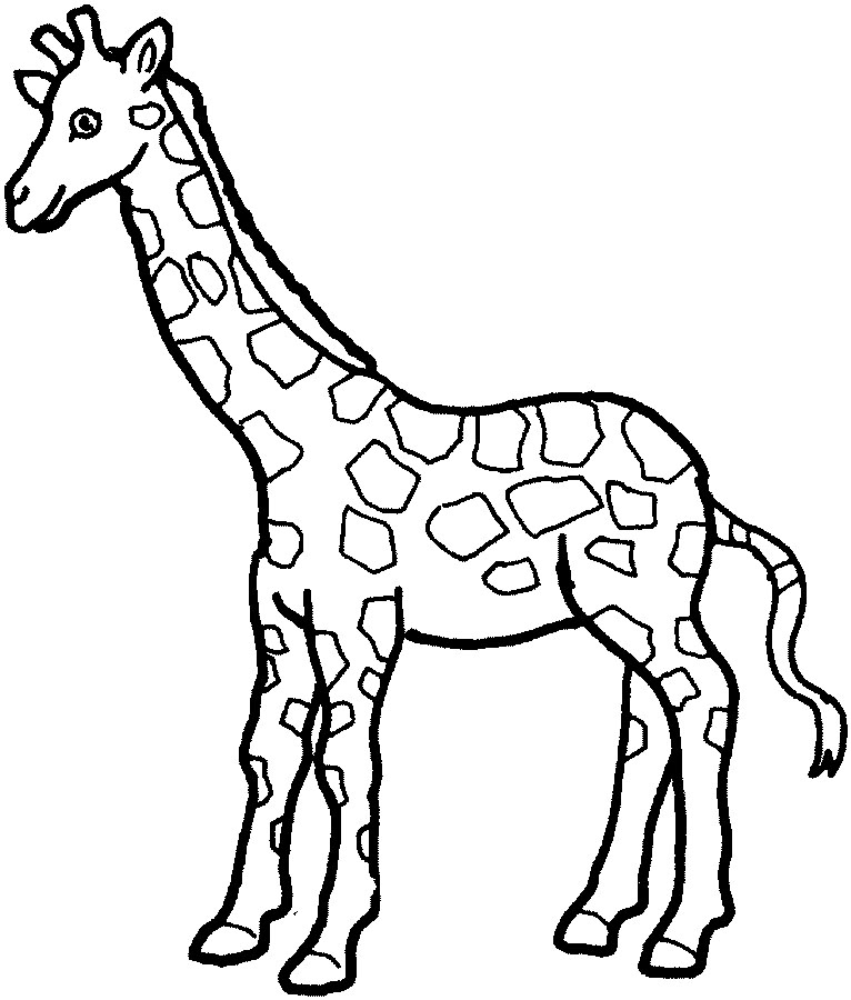 of giraffe Outline