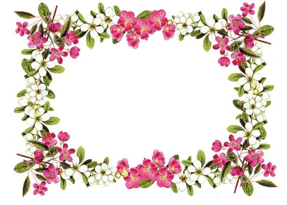 Flower frame, Printable frames and Clip art