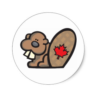 Canadian Beaver Gifts on Zazzle