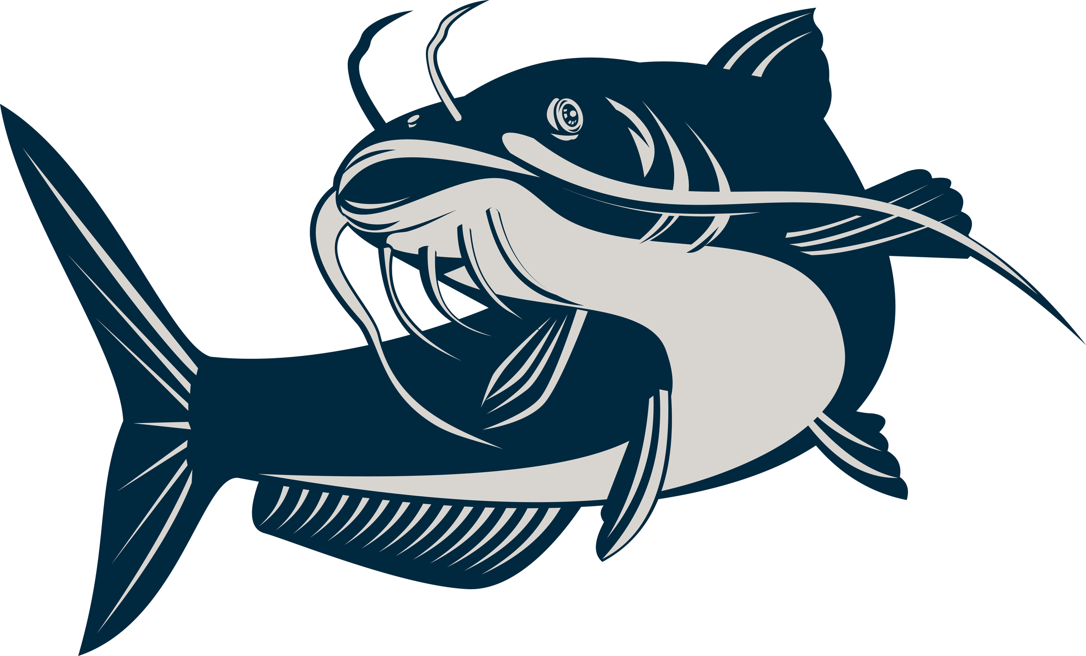 Catfish Sketch - ClipArt Best