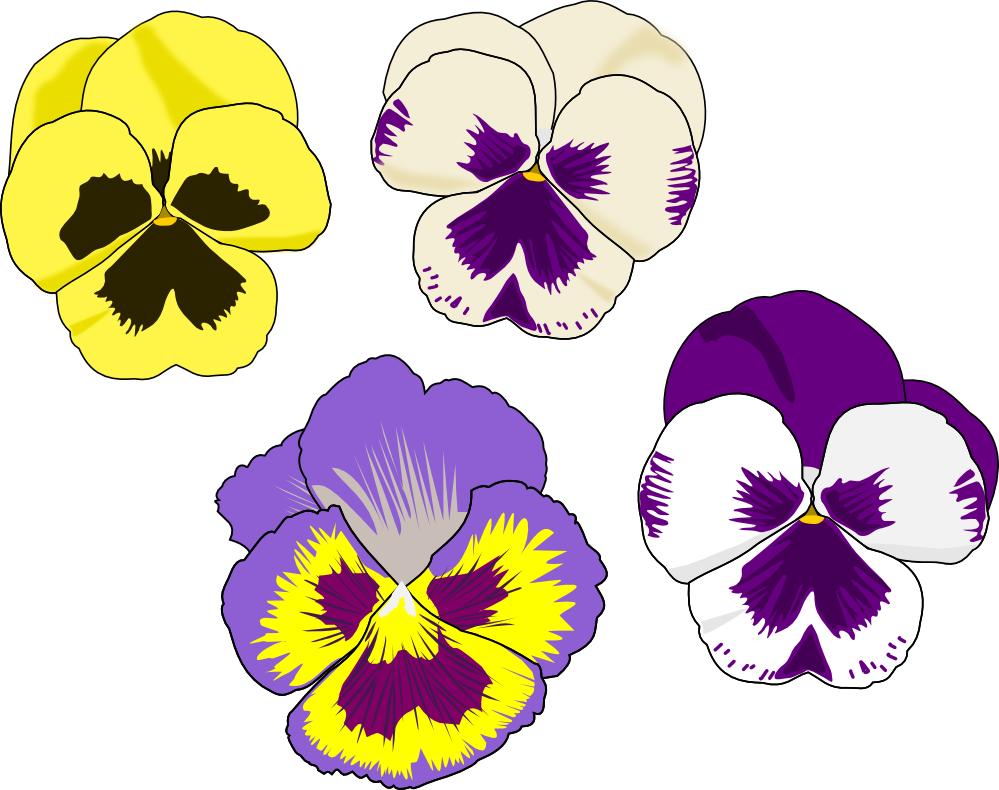 Pansy cliparts