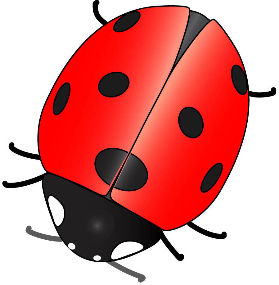 Cute Ladybug Clipart