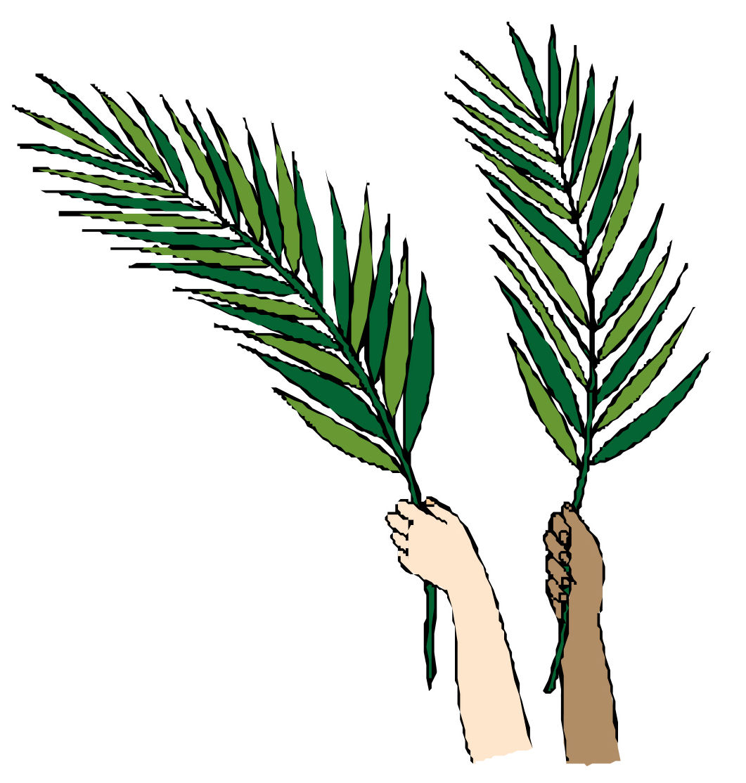 Palm Leaf Outline