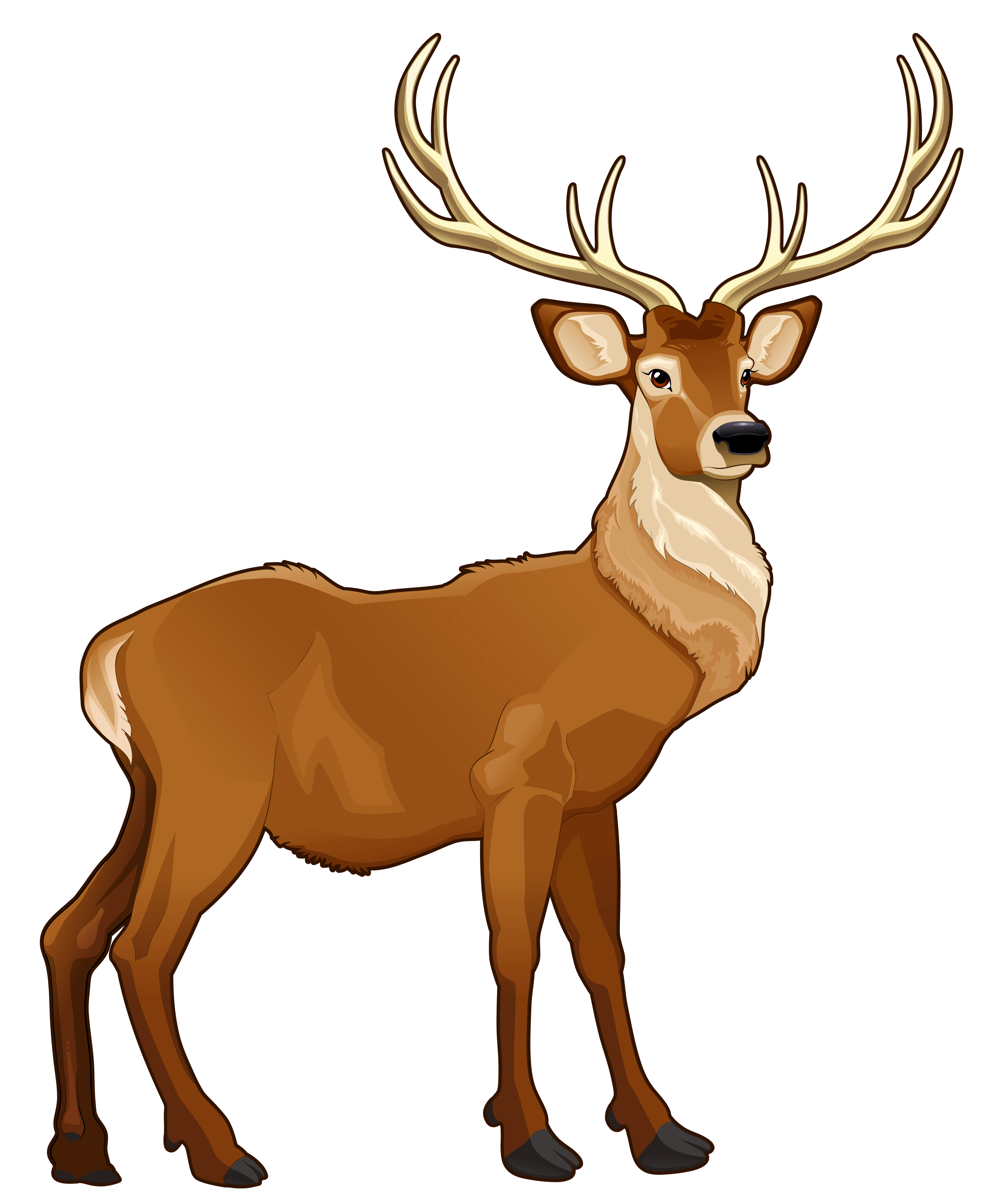 Reindeer Clipart - Free Clipart Images