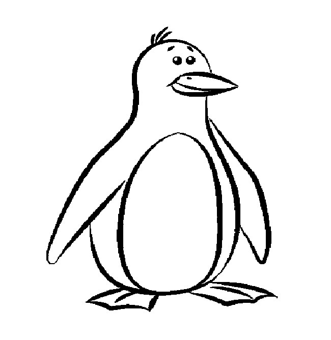 Penguin Template - Animal Templates | Free & Premium Templates