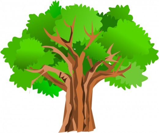 clipart oak tree - photo #18