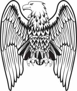 Animals For > Eagle Wings Drawing