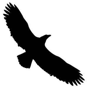 Eagle silhouette clipart png