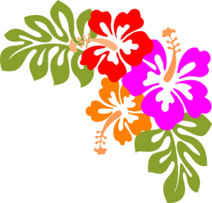 Hawaiian flower clipart border