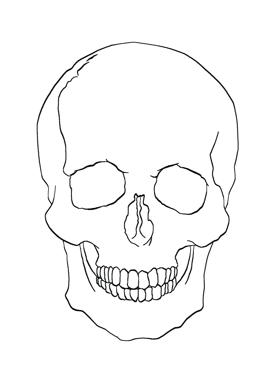 Skull ink lines