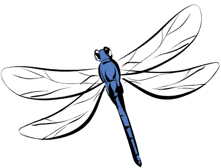 The Dragonfly Effect - Insights For Life
