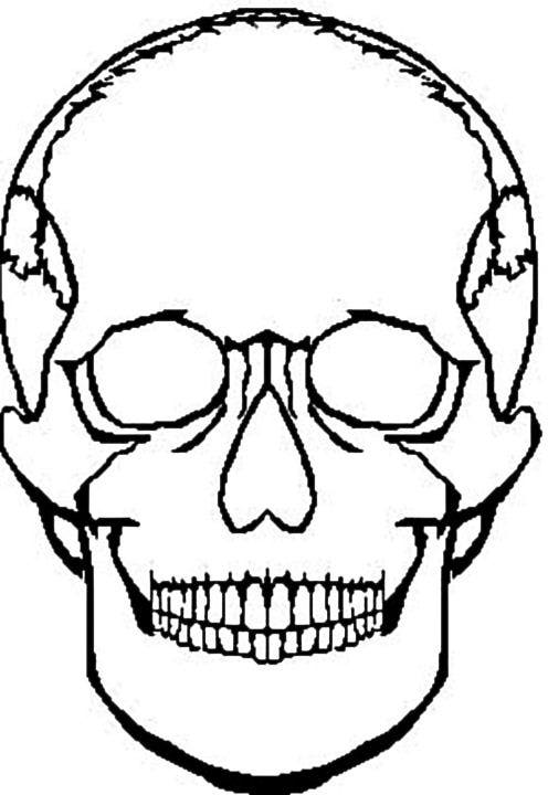 Skull Coloring Page