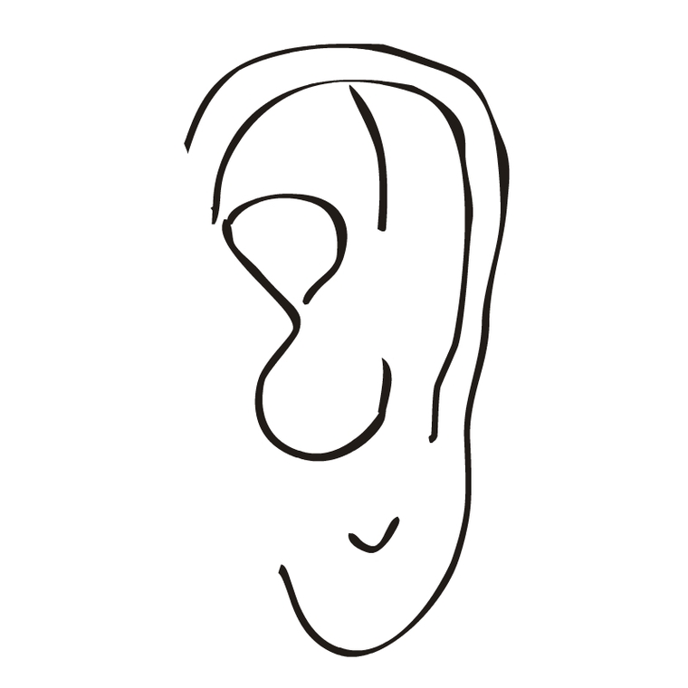 Clip Art Of An Ear Clipart - Free to use Clip Art Resource