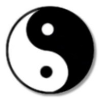 medicina tradizionale yin e yang e alimentazione - Natura salus