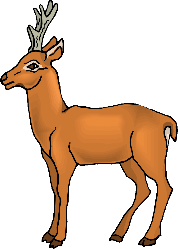 Buck Deer Clipart