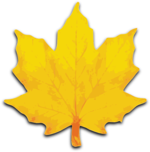 Orange Maple Leaf clip art - vector clip art online, royalty free ...