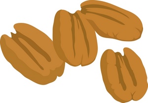 a_bunch_of_pecan_nuts_0071- ...