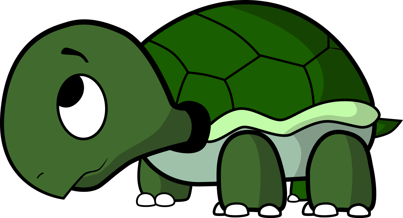 Turtle Shell Cartoon ClipArt Best.