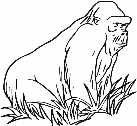 monkey coloring pictures  super coloring   part 2
