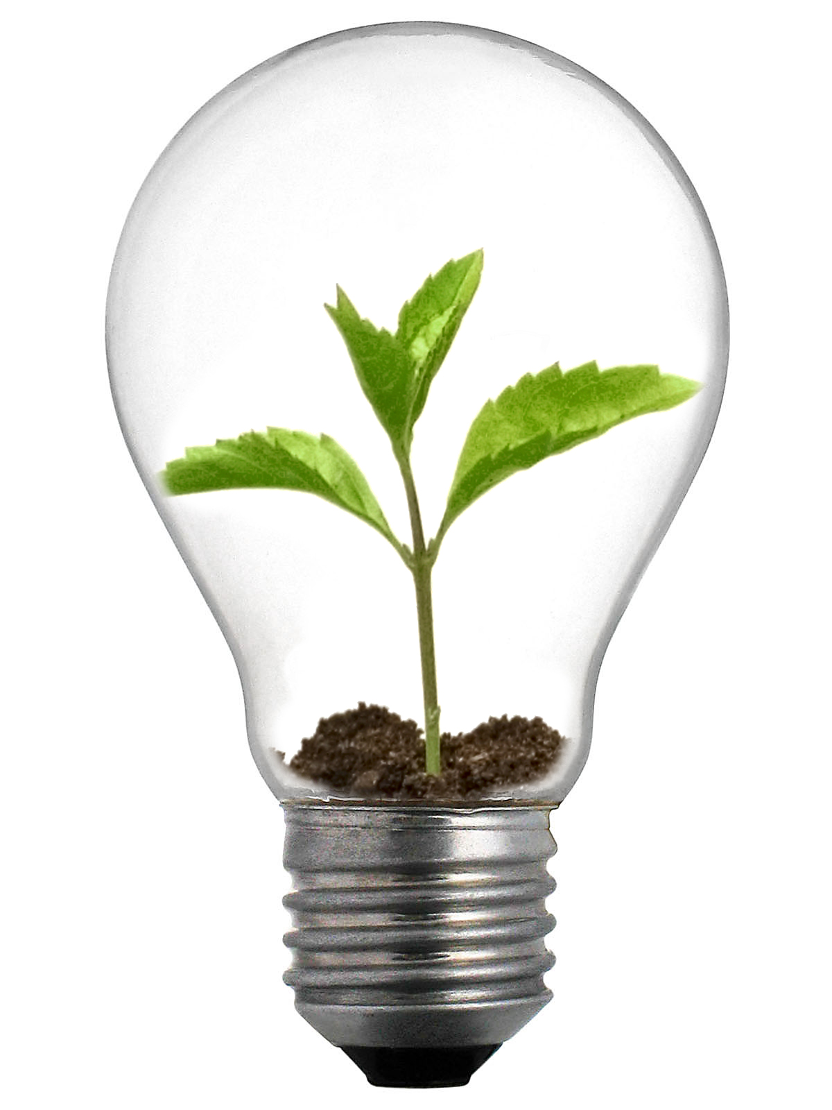 New range of light bulbs from Bulbrite - Promoting Eco Friendly ...