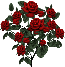 Roses Pictures Animated - ClipArt Best