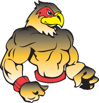 Hawk mascot clipart free